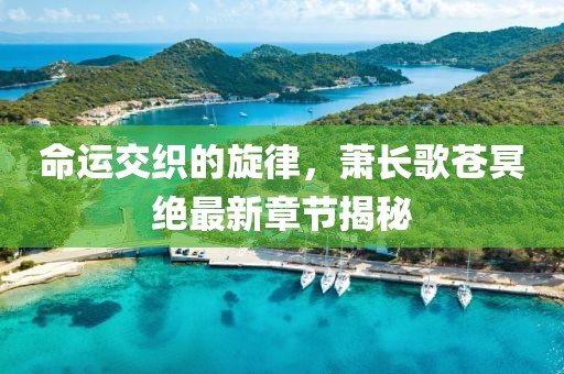 命運(yùn)交織的旋律，蕭長(zhǎng)歌蒼冥絕最新章節(jié)揭秘