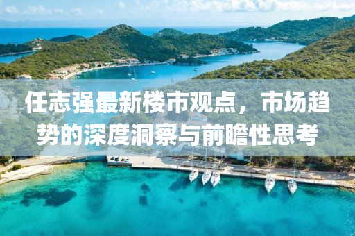 任志強(qiáng)最新樓市觀點(diǎn)，市場(chǎng)趨勢(shì)的深度洞察與前瞻性思考