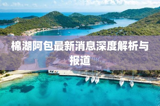 棉湖阿包最新消息深度解析與報道