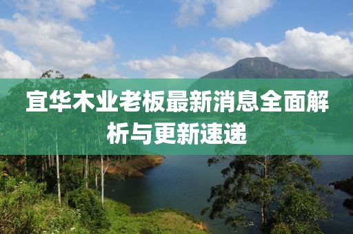 宜華木業(yè)老板最新消息全面解析與更新速遞