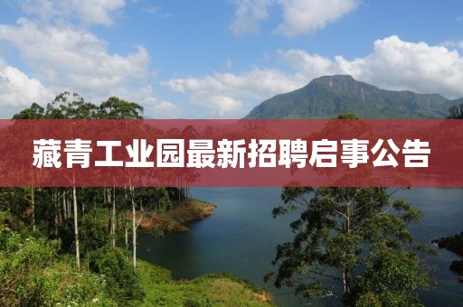 藏青工業(yè)園最新招聘啟事公告