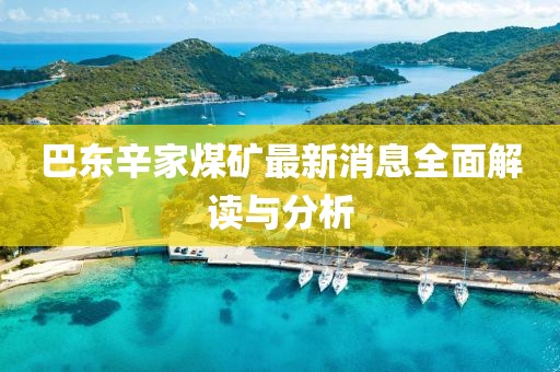 巴東辛家煤礦最新消息全面解讀與分析