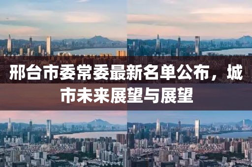 邢臺(tái)市委常委最新名單公布，城市未來(lái)展望與展望