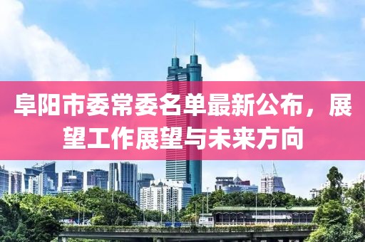 阜陽市委常委名單最新公布，展望工作展望與未來方向