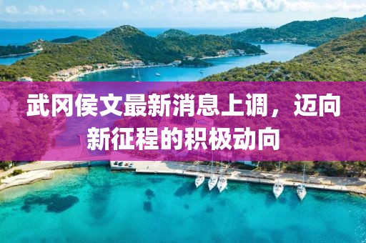 溫柔不夠 第13頁