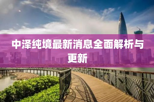 中澤純境最新消息全面解析與更新