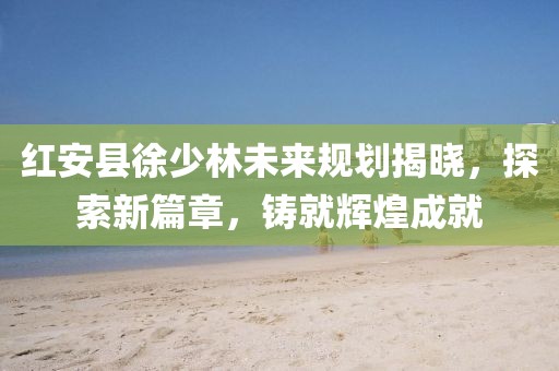 紅安縣徐少林未來(lái)規(guī)劃揭曉，探索新篇章，鑄就輝煌成就
