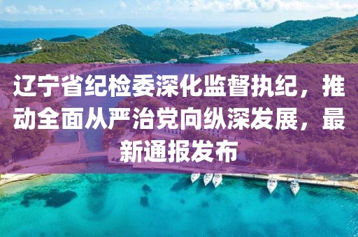 遼寧省紀(jì)檢委深化監(jiān)督執(zhí)紀(jì)，推動(dòng)全面從嚴(yán)治黨向縱深發(fā)展，最新通報(bào)發(fā)布