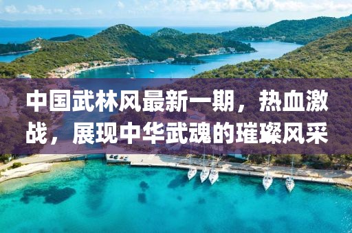 中國武林風(fēng)最新一期，熱血激戰(zhàn)，展現(xiàn)中華武魂的璀璨風(fēng)采