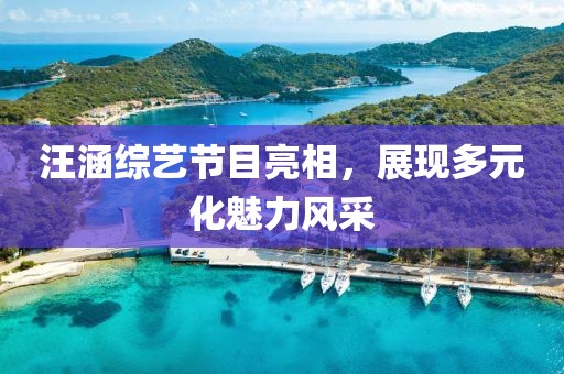 汪涵綜藝節(jié)目亮相，展現(xiàn)多元化魅力風采