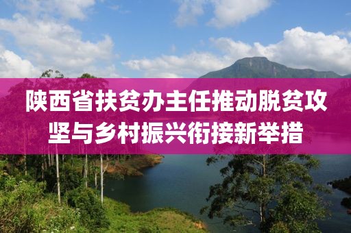 陜西省扶貧辦主任推動(dòng)脫貧攻堅(jiān)與鄉(xiāng)村振興銜接新舉措