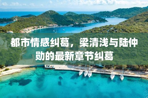都市情感糾葛，梁清淺與陸仲勛的最新章節(jié)糾葛