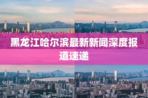 黑龍江哈爾濱最新新聞深度報道速遞
