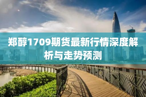 鄭醇1709期貨最新行情深度解析與走勢預測