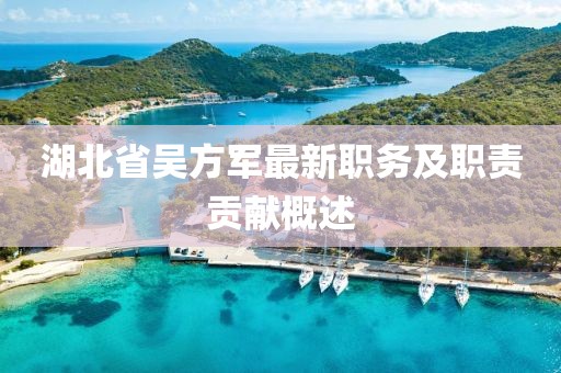 湖北省吳方軍最新職務(wù)及職責(zé)貢獻(xiàn)概述