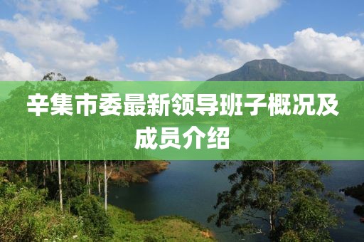 辛集市委最新領(lǐng)導班子概況及成員介紹