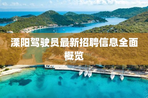 溧陽駕駛員最新招聘信息全面概覽