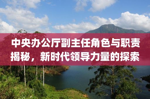 中央辦公廳副主任角色與職責(zé)揭秘，新時(shí)代領(lǐng)導(dǎo)力量的探索