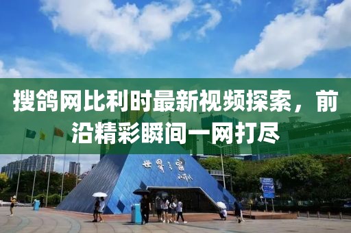 搜鴿網(wǎng)比利時最新視頻探索，前沿精彩瞬間一網(wǎng)打盡