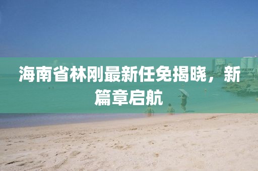 海南省林剛最新任免揭曉，新篇章啟航