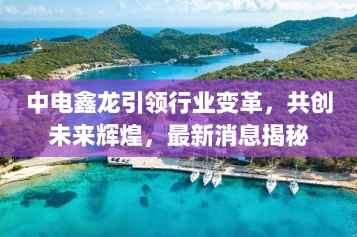 中電鑫龍引領(lǐng)行業(yè)變革，共創(chuàng)未來輝煌，最新消息揭秘