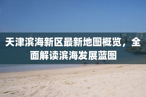 天津?yàn)I海新區(qū)最新地圖概覽，全面解讀濱海發(fā)展藍(lán)圖