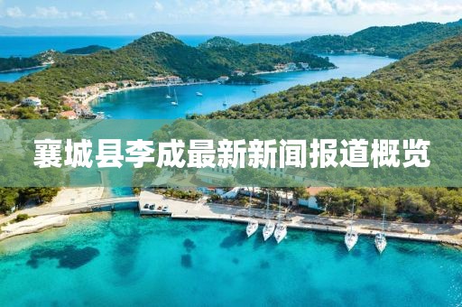 襄城縣李成最新新聞報道概覽