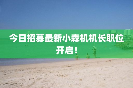 今日招募最新小森機機長職位開啟！