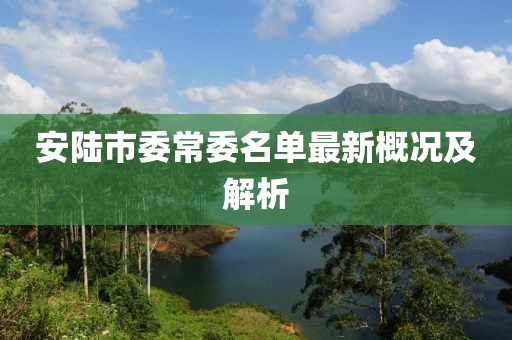 安陸市委常委名單最新概況及解析