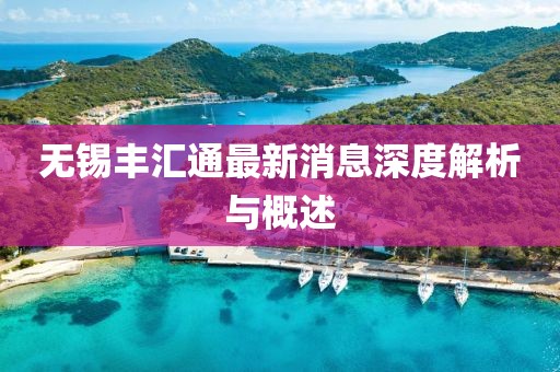 無錫豐匯通最新消息深度解析與概述