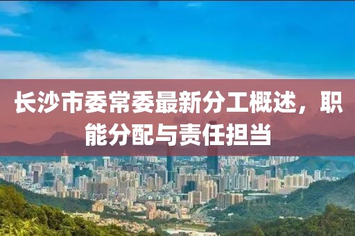 長沙市委常委最新分工概述，職能分配與責任擔當