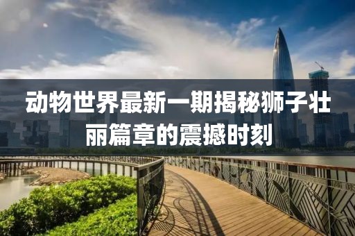 動(dòng)物世界最新一期揭秘獅子壯麗篇章的震撼時(shí)刻