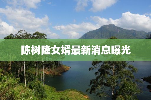 陳樹隆女婿最新消息曝光