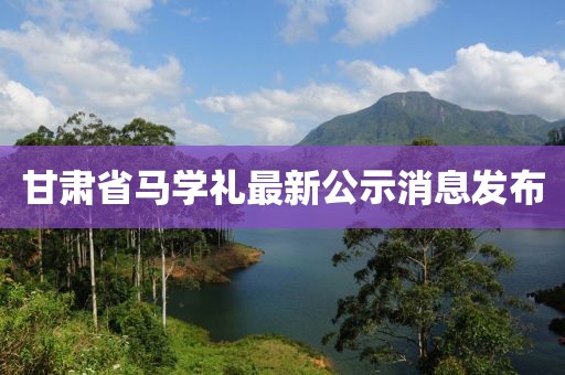 甘肅省馬學(xué)禮最新公示消息發(fā)布
