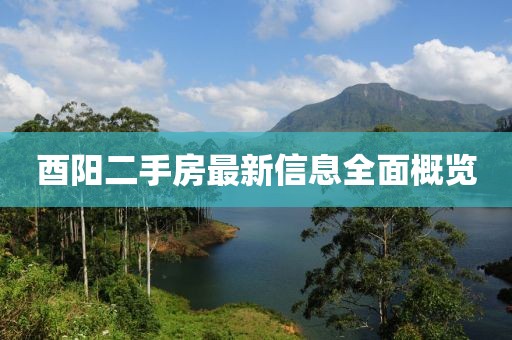 酉陽二手房最新信息全面概覽