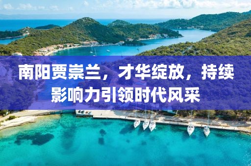 南陽賈崇蘭，才華綻放，持續(xù)影響力引領(lǐng)時(shí)代風(fēng)采