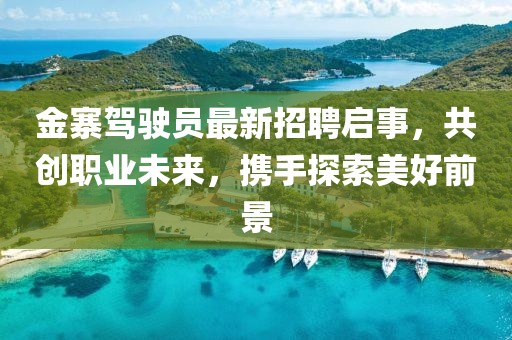 金寨駕駛員最新招聘啟事，共創(chuàng)職業(yè)未來，攜手探索美好前景