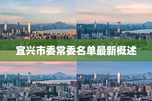 宜興市委常委名單最新概述