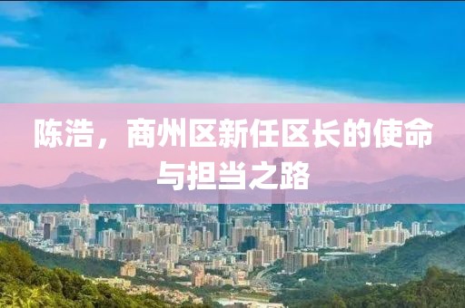 陳浩，商州區(qū)新任區(qū)長的使命與擔(dān)當(dāng)之路