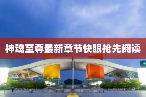 神魂至尊最新章節(jié)快眼搶先閱讀