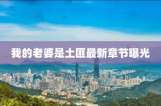 我的老婆是土匪最新章節(jié)曝光