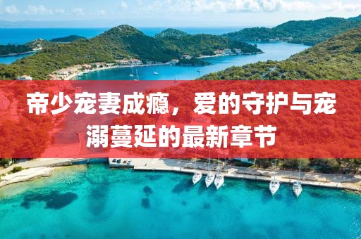 帝少寵妻成癮，愛的守護與寵溺蔓延的最新章節(jié)