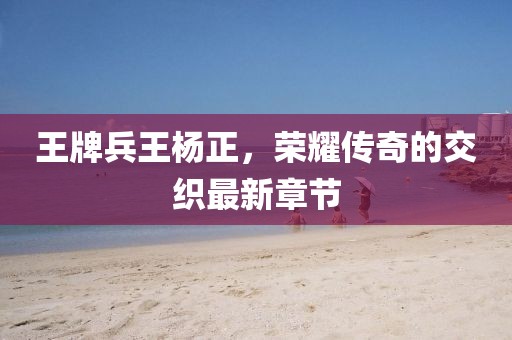 王牌兵王楊正，榮耀傳奇的交織最新章節(jié)
