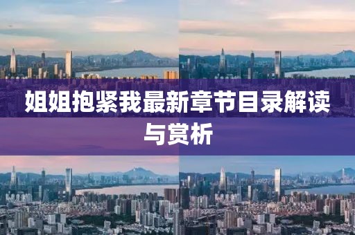 姐姐抱緊我最新章節(jié)目錄解讀與賞析