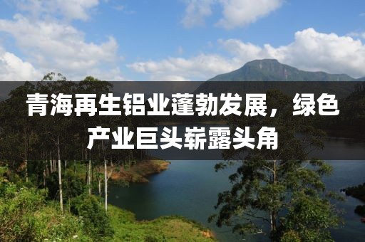 青海再生鋁業(yè)蓬勃發(fā)展，綠色產(chǎn)業(yè)巨頭嶄露頭角
