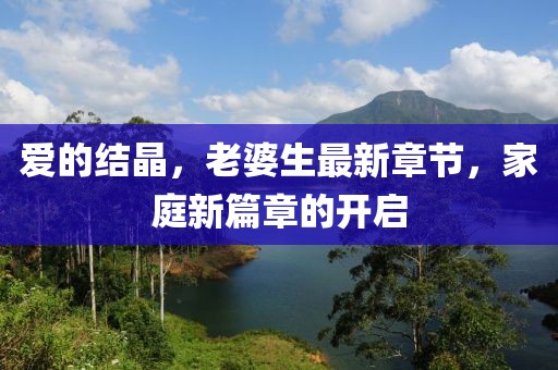 愛的結(jié)晶，老婆生最新章節(jié)，家庭新篇章的開啟