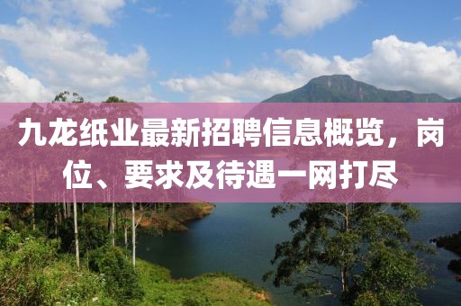 九龍紙業(yè)最新招聘信息概覽，崗位、要求及待遇一網(wǎng)打盡