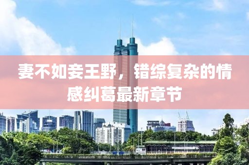 寰鸞 第11頁