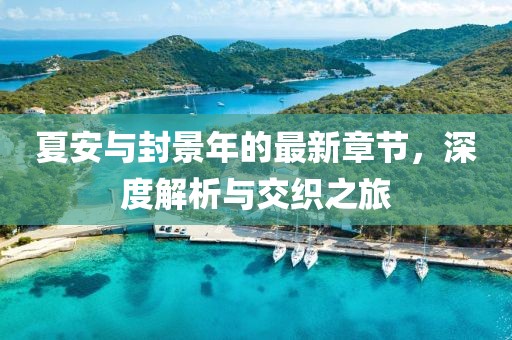 夏安與封景年的最新章節(jié)，深度解析與交織之旅