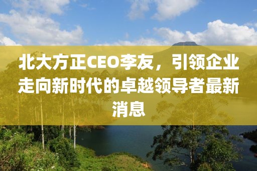 北大方正CEO李友，引領企業(yè)走向新時代的卓越領導者最新消息
